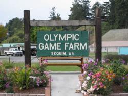 Olympic Game Farm Olympic Game Farm